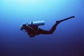 Как выбрать ласты для подводного плавания