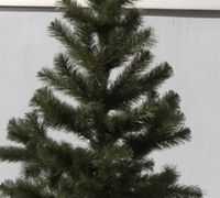Ель Зимняя красавица 1м