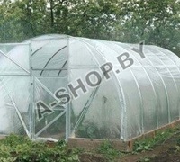 Теплица "Дачная 2ДУ" "0029"