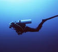 Как выбрать ласты для подводного плавания